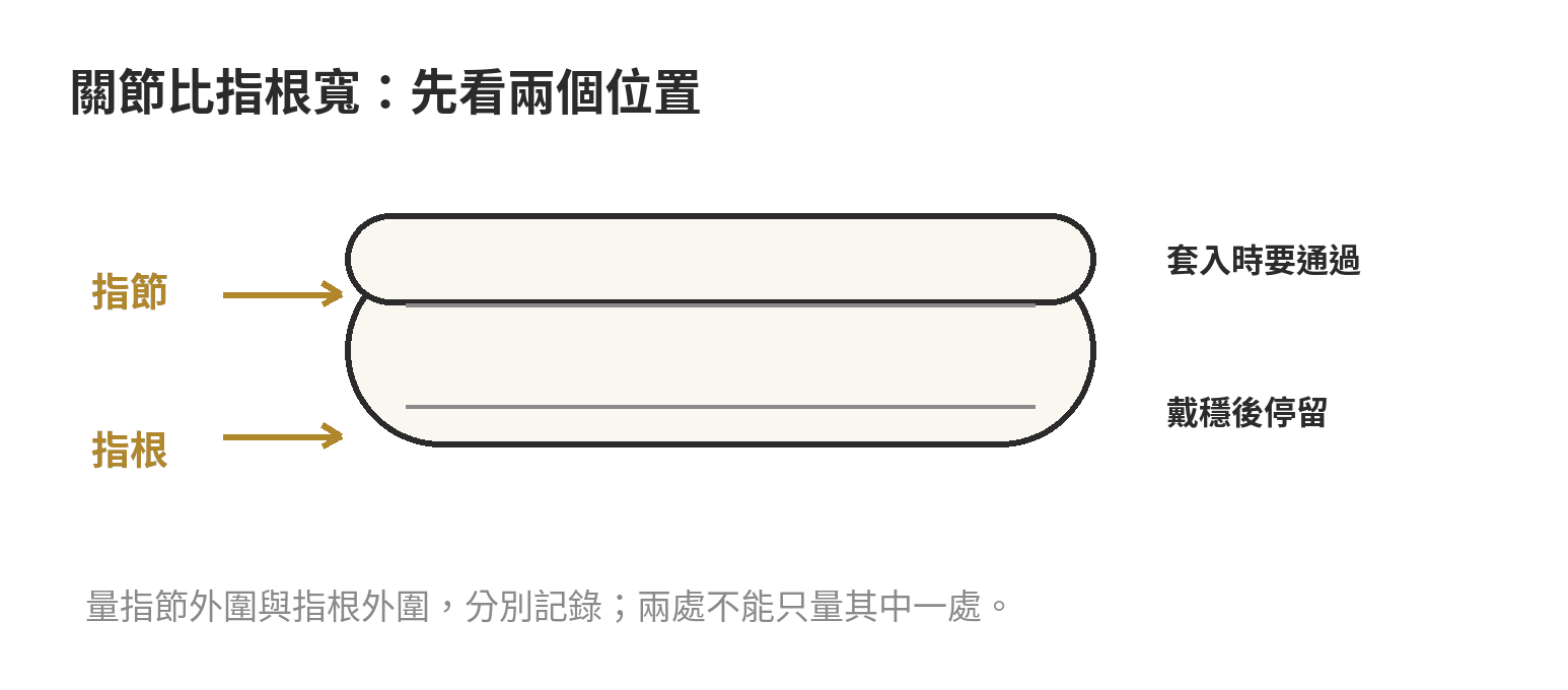 指節比指根粗時,需分別測量指節與指根外圍;指節是套入時要通過的位置,指根是戴穩後停留的位置。